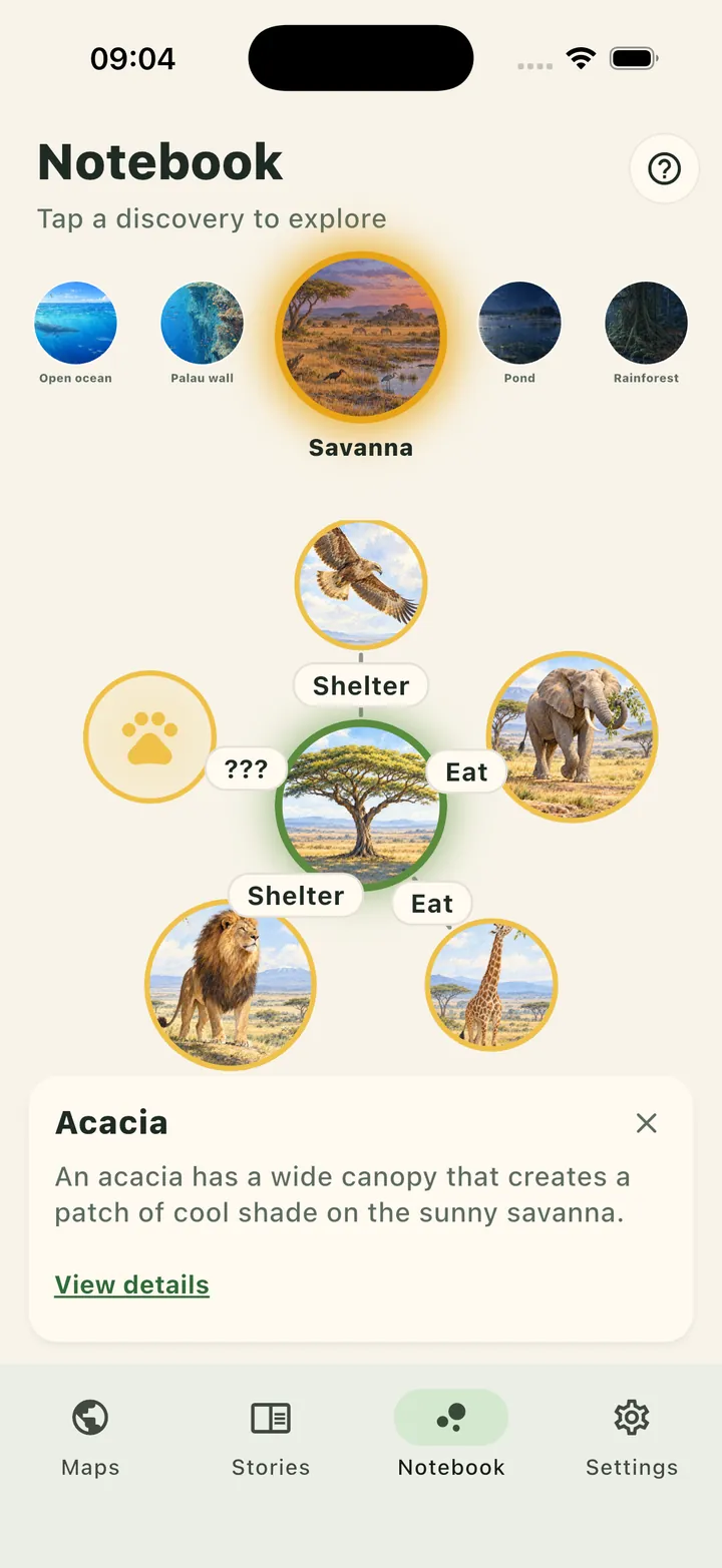 A notebook showing the acacia and the animals linked to it